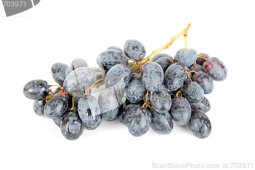 Image of Grape cluster