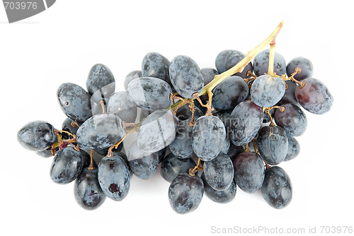 Image of Rape Grape cluster