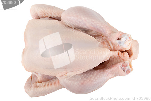 Image of Raw chicken