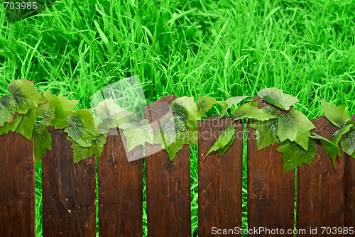 Image of fence