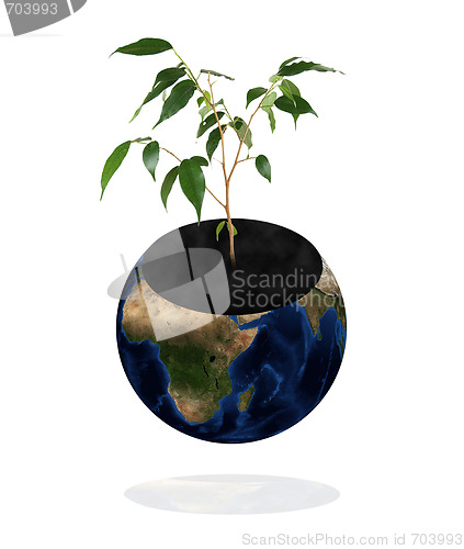 Image of protect the environment!
