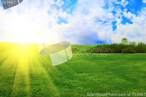Image of field and sun