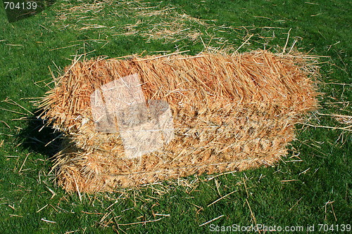 Image of Bale of Hay