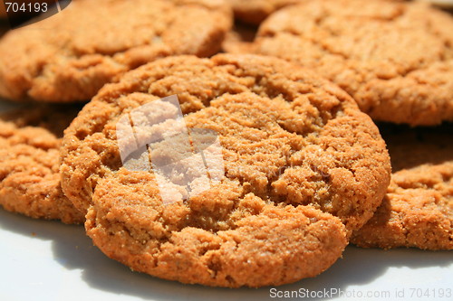 Image of Ginger Snap Cookies