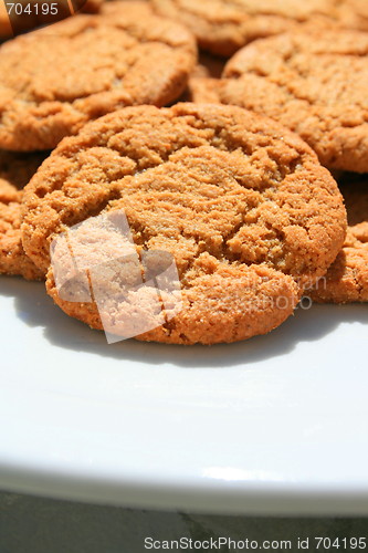Image of Ginger Snap Cookies