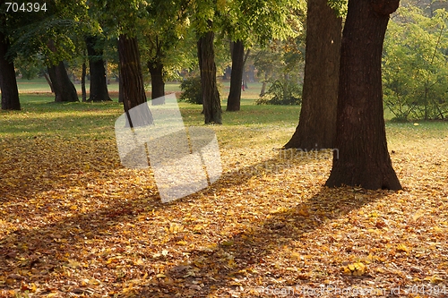 Image of Autumn