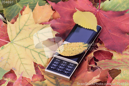 Image of Mobile phone on autumn foliage