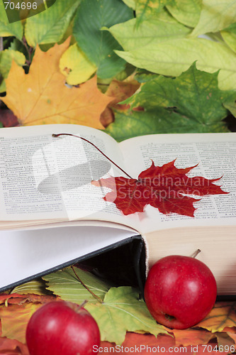 Image of Autumn, the book, apples