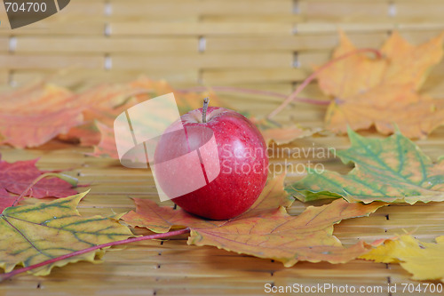 Image of Apple autumn