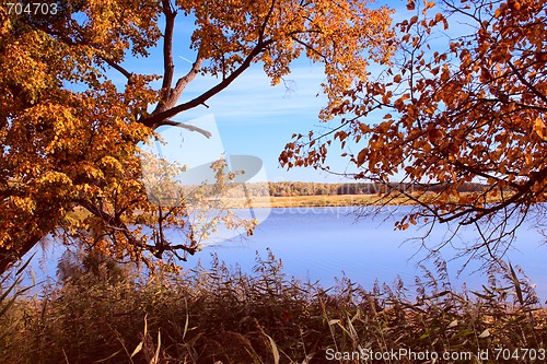 Image of Autumn sunny day on lake