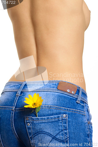 Image of Naked young woman in jeans with a yeallow flower