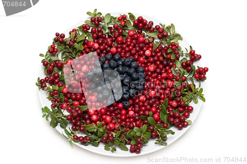 Image of Cowberry and whortleberry on plate