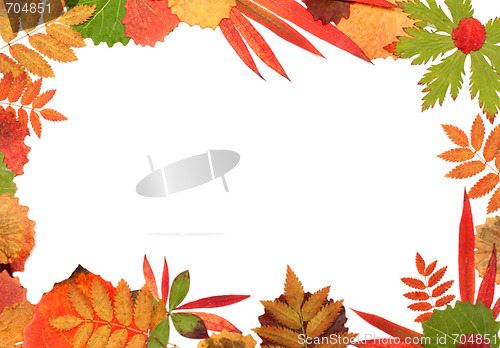 Image of Frame their autumn sheet