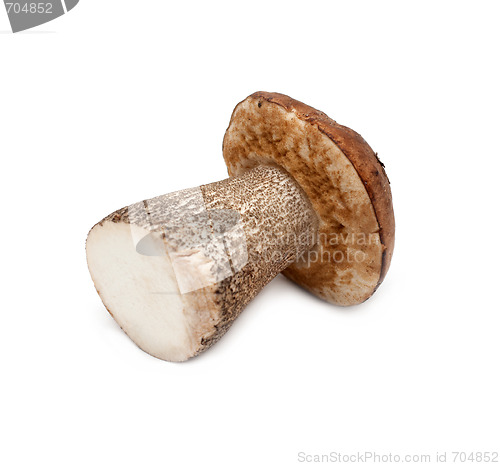 Image of Mushroom cut