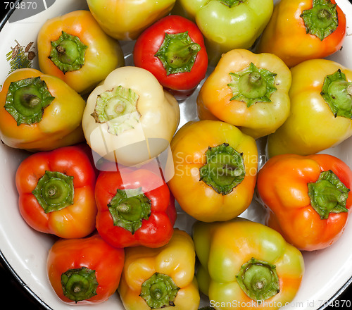 Image of Bulgarian pepper