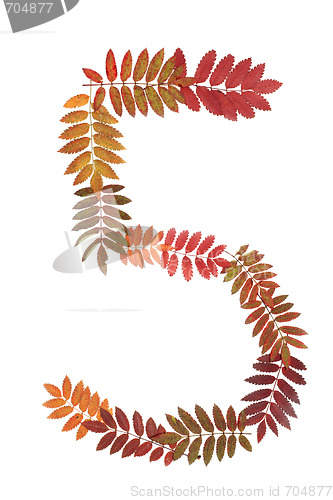 Image of Numeral five 5 put from autumn sheet
