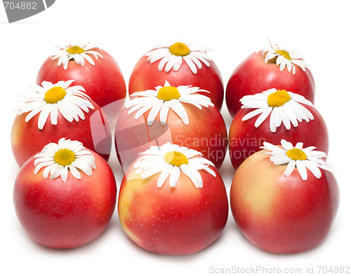 Image of Apple and daisywheels