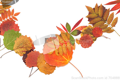 Image of Autumn sheet strewn in heap
