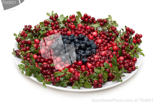 Image of Cowberry and whortleberry on plate