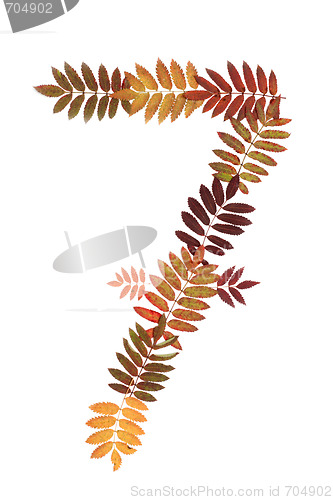 Image of Numeral seven 7 put from autumn sheet