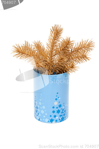 Image of Golden branch fir tree