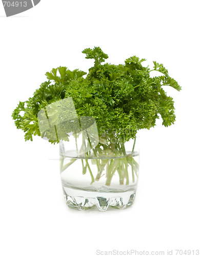 Image of Green parsley