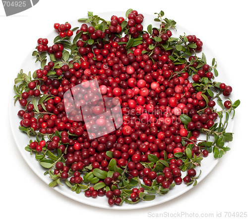 Image of Cowberry on plate
