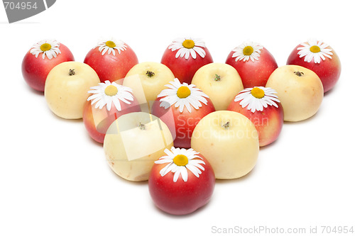 Image of Apple and daisywheels