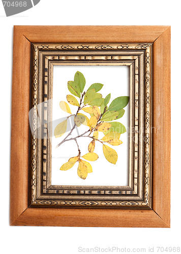 Image of Dry sheet in frame for photography