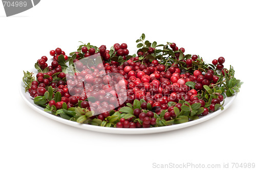 Image of Cowberry on plate