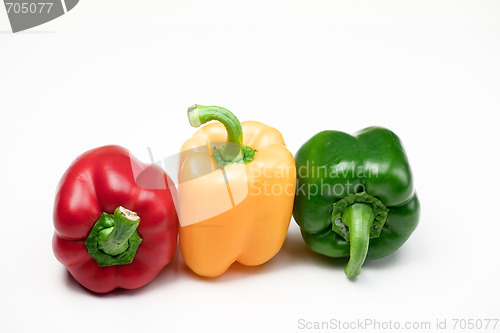 Image of Multicolor Peppers