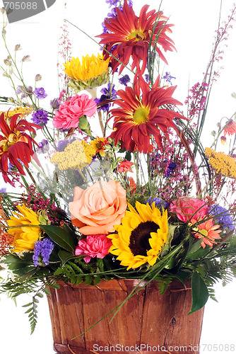 Image of Assorted Flowers