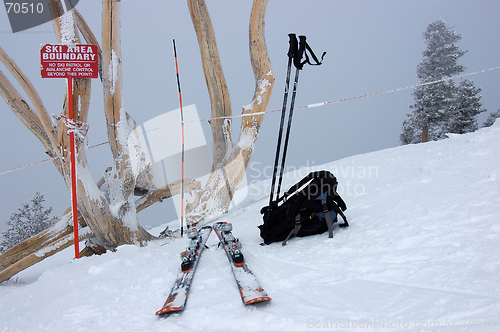 Image of Skiing