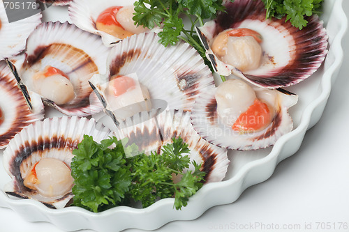 Image of Uncooked scallops