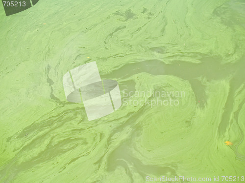 Image of Polluted Water Background