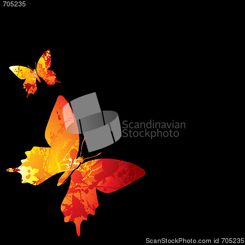 Image of hot butterfly