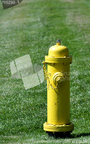 Image of Yellow fire hydrant