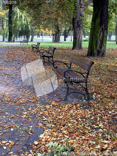 Image of autumn in  park