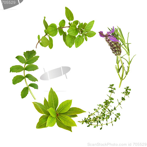 Image of Herb Leaf Garland