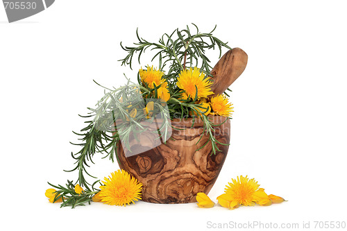 Image of  Rosemary Herb and Wild Flowers