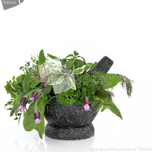 Image of Herb Leaf and Flower Selection
