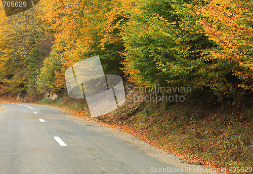Image of Road in autumn