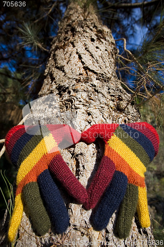 Image of Autumn Hands on a Tree Trunk