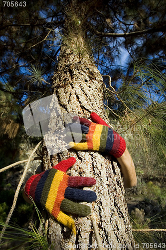 Image of Autumn Hands on a Tree Trunk