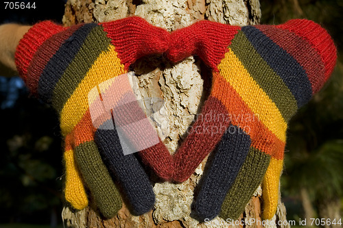 Image of Autumn Hands on a Tree Trunk