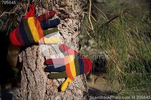 Image of Autumn Hands on a Tree Trunk