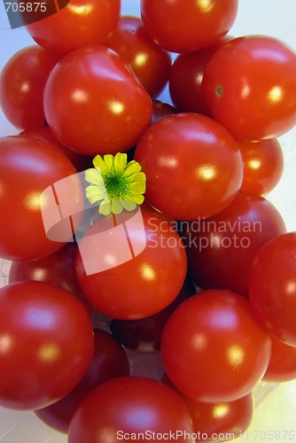 Image of Cherry Tomatoes