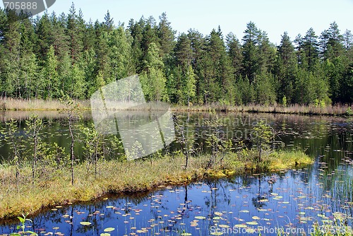 Image of Calm Lake in Rural Finland