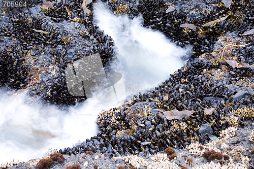 Image of Salt Creek Recreation Area