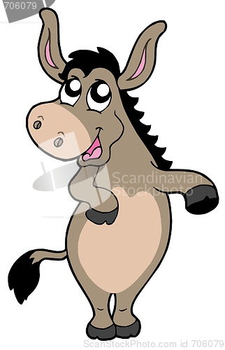 Image of Funny donkey